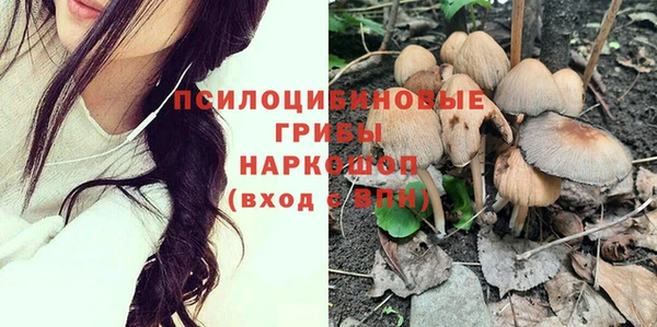 бошки Арсеньев