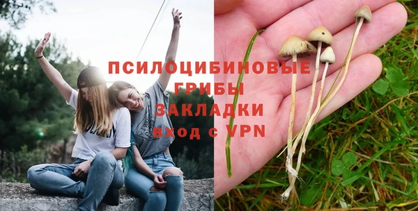 круглые Алзамай