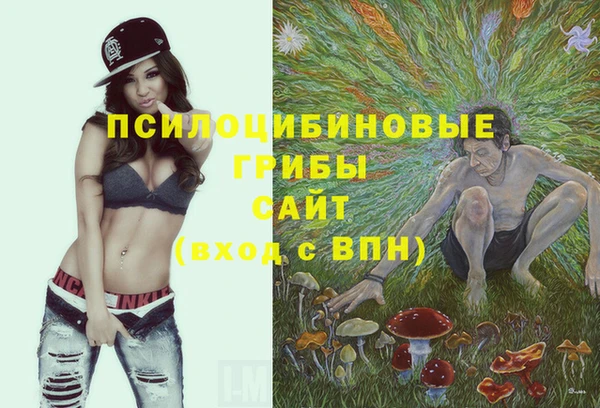 крисы Алексеевка