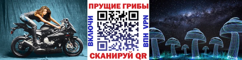 кракен tor Суздаль Псилоцибиновые грибы GOLDEN TEACHER