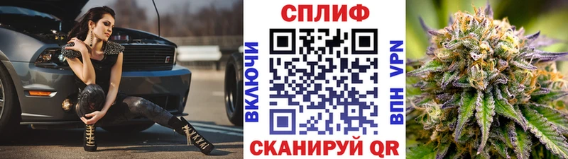 Бошки марихуана Amnesia  продажа наркотиков  Суздаль 